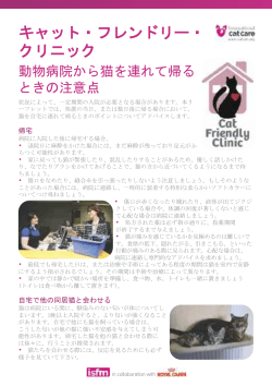 動物病院から猫を連れて帰るときの注意点