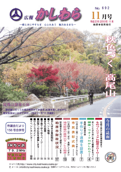 11月号 - 柏原市