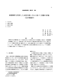 画像解析を利用した水質汚濁とそれに基づく景観の評価 (化学景観学)