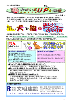 犬・猫の正しいシャンプーのやり方