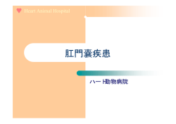 肛門嚢疾患 - ハート 動物病院
