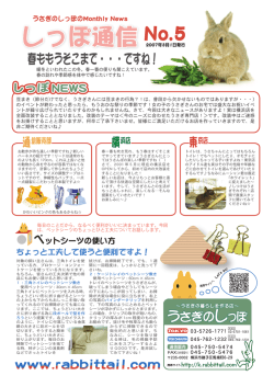 しっぽ通信5号 - うさぎのしっぽ