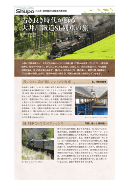 古き良き時代が蘇る 大井川鐵道SL列車の旅
