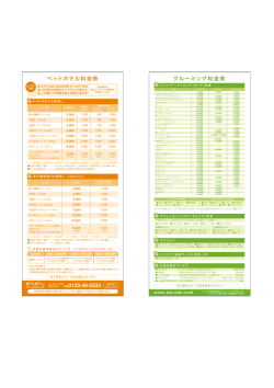 PDFファイルをダウンロード