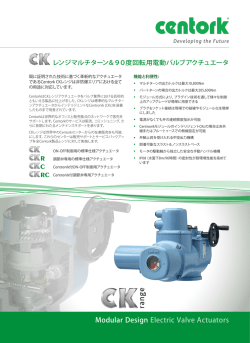Modular Design Electric Valve Actuators