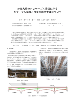 妙高大橋のPCケーブル損傷に伴う 外ケーブル補強と今後の維持管理