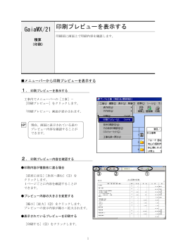 印刷プレビューを表示する GaiaMX/21
