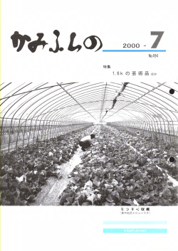 Page 1 特集 2000-7 No.494 1.6kの芸術品 ほか 老ラ Eすく収緬 (束中