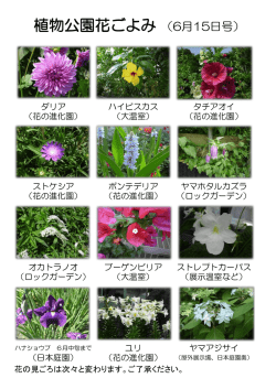 植物公園花ごよみ （6月15日号）
