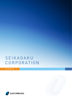 SEIKAGAKU CORPORATION