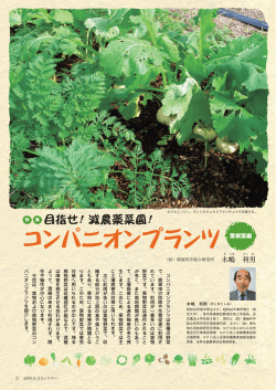 木 嶋 利 男