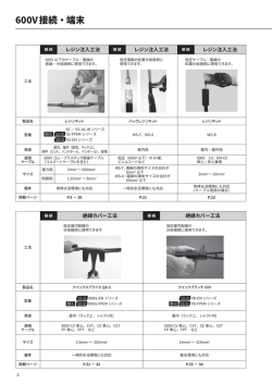 600V接続・端末