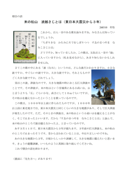 末の松山 波越さじとは（東日本大震災から3年）