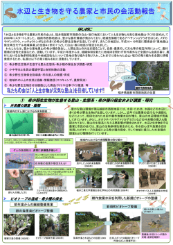 Microsoft PowerPoint - \202\21021\224N\225\220\220\266