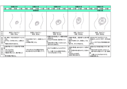 4週 5週 6週 7週 8週 9週 10週 11週 12週 13週 14週 15週 16週 17週