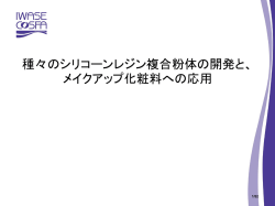 種々のシリコーンレジン複合粉体の開発と、 メイクアップ化粧料への応用