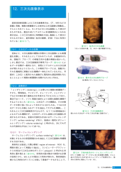 12．三次元画像表示