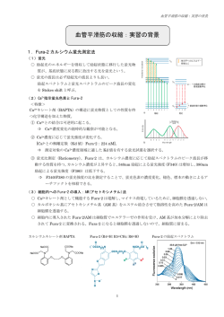 血管平滑筋の収縮：実習の背景