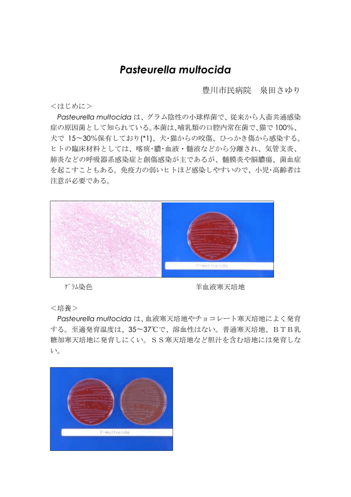 Pasteurella Multocida