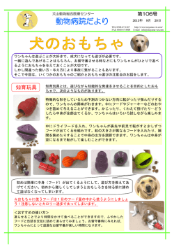 犬のおもちゃ - 犬山動物総合医療センター