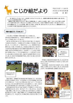 11月こじか組だより