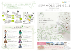 NEW MODE OPEN 3.12
