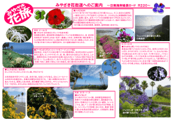 みやざき花街道へのご案内 ～日南海岸絶景ロード