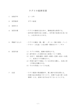 ウグイの採卵実習