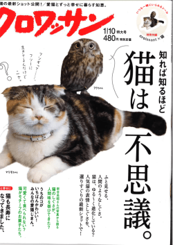 つづきはこちら（記事PDF