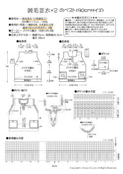 純毛並太・2のベスト（90cmサイズ）