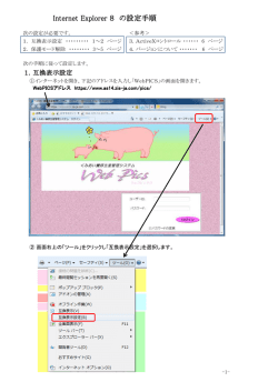Internet Explorer 8 の設定手順