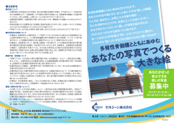 あなたの写真でつく る 大きな絵