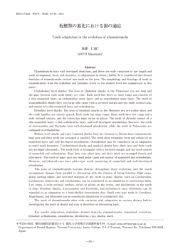 板鰓類の進化における歯の適応