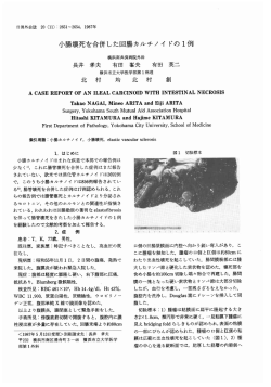 PDF 418831 bytes
