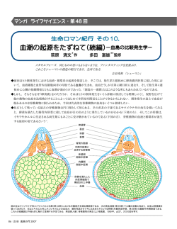 「血潮の起源をたずねて（続編） -血島の比較発生学