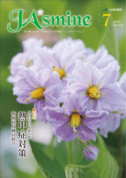 中 - JA信州諏訪