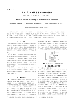 水中プラズマ放電電極の寿命評価（PDF: 186.4 KB）