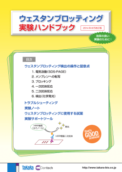 ウェスタンブロッティング実験ハンドブック