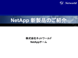 DS4243 - ネットワールド