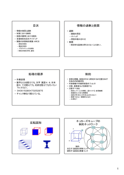 目次 情報の過剰と貧困 処理の限界 制約 反転図形