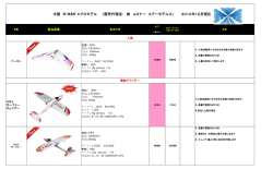 中国 X-UAV エアロモデル （販売代理店： 株 ルミナー エアーモデルス） 201