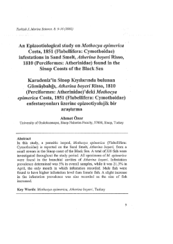 ラグ カーペット ビッグサイズ ラグマット 北欧 リーフ柄 ラグマット rug 防臭