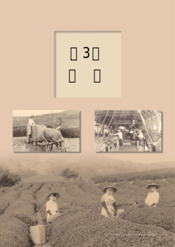 第3章 資料（PDF 732KB）