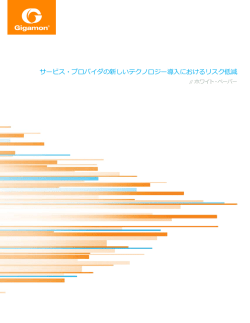 サービス・プロバイダの新しいテクノロジー導入におけるリスク