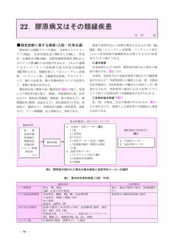 22．膠原病又はその類縁疾患