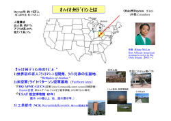 ｵﾊｲｵ州ﾃﾞｲﾄﾝとは