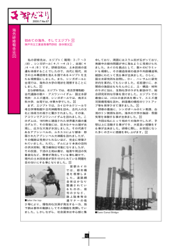 海 外 研 修 報 告 ④