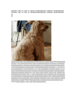 【安い】 猫の 服 型紙 冬 小型犬,犬のブランド服 海外発送 蔵払いを一掃する