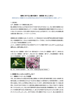 植物に対する土壌の役割2(菌根菌