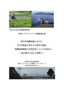 （島嶼）報告書（PDF）